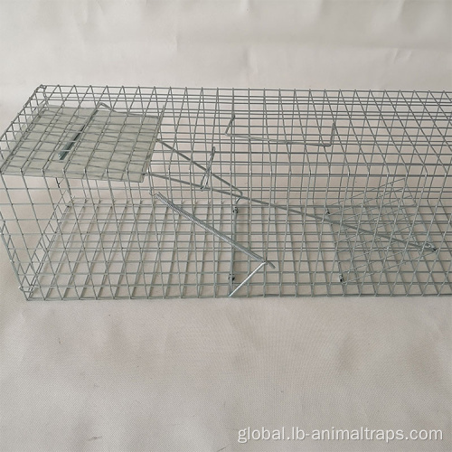 Cheap Animal Cages Live animal catcher rat traps Rodent Factory